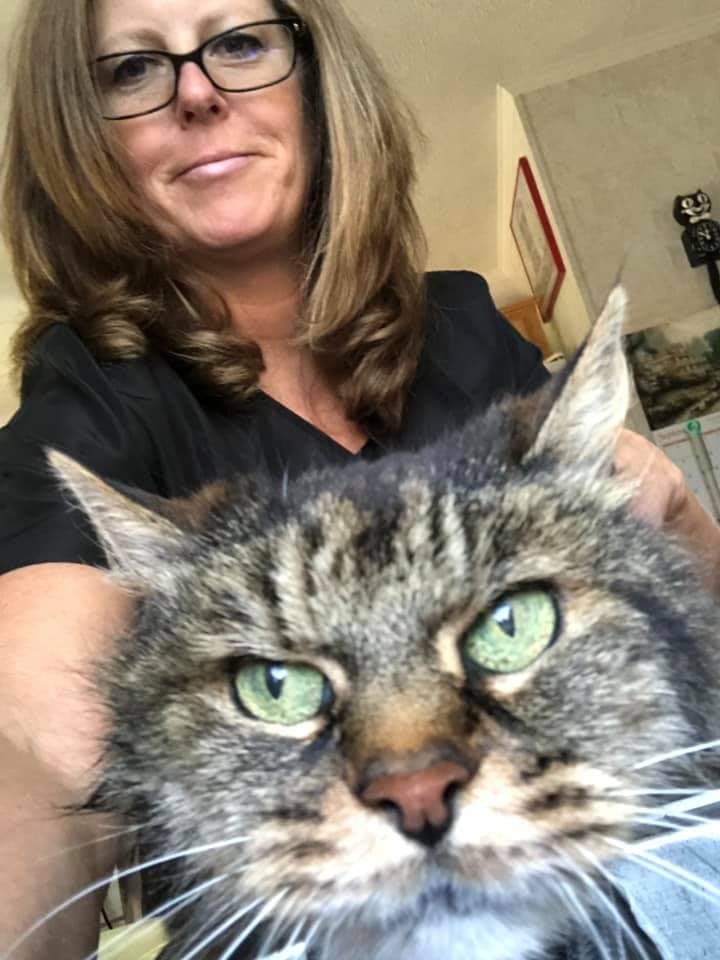 Animal House Mobile Pet Grooming, LLC - Mobile dog grooming in East Lyme, CT