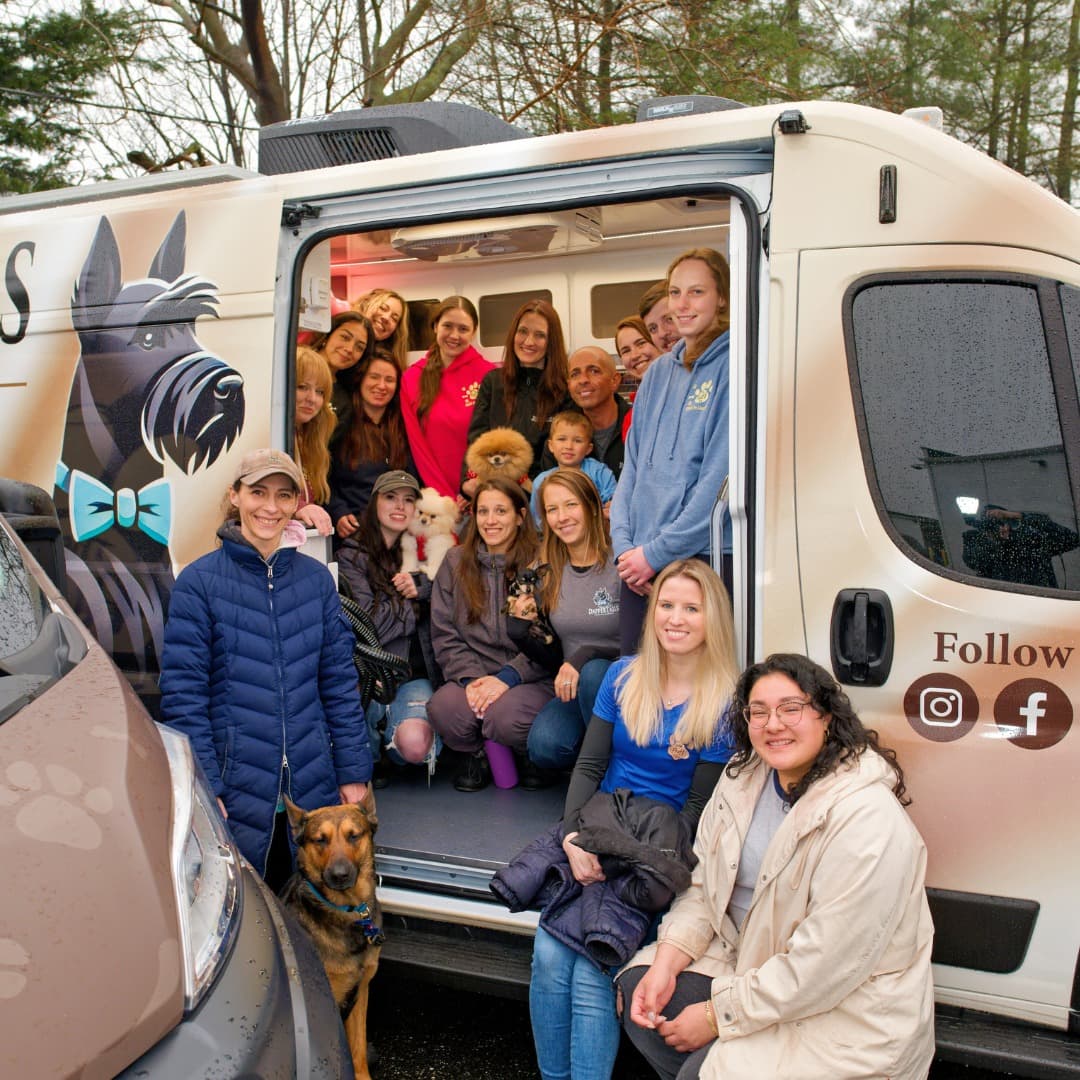 DapperTails Mobile Pet Grooming of St Louis - Mobile dog grooming in Saint Charles, MISSOURI