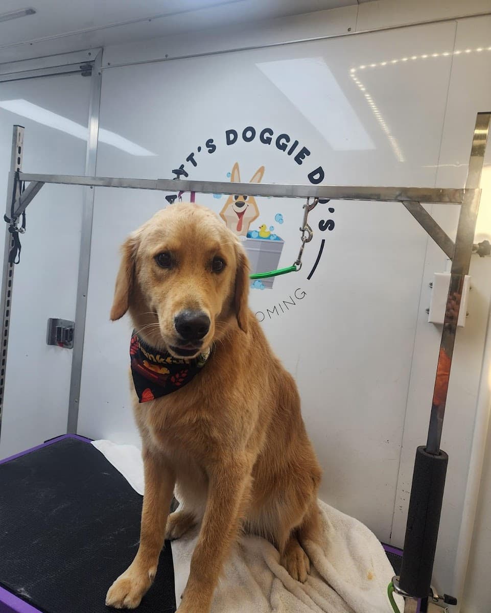 Dartt's Doggie Do's Mobile dog Grooming - Mobile dog grooming in Bakerville, TENNESSEE