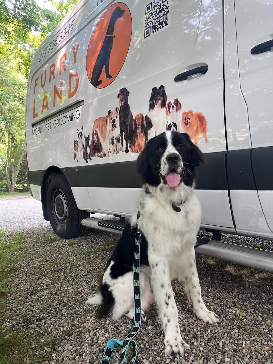 Furry Land Mobile Pet Grooming Fairfield County - Mobile dog grooming in Weston, CT