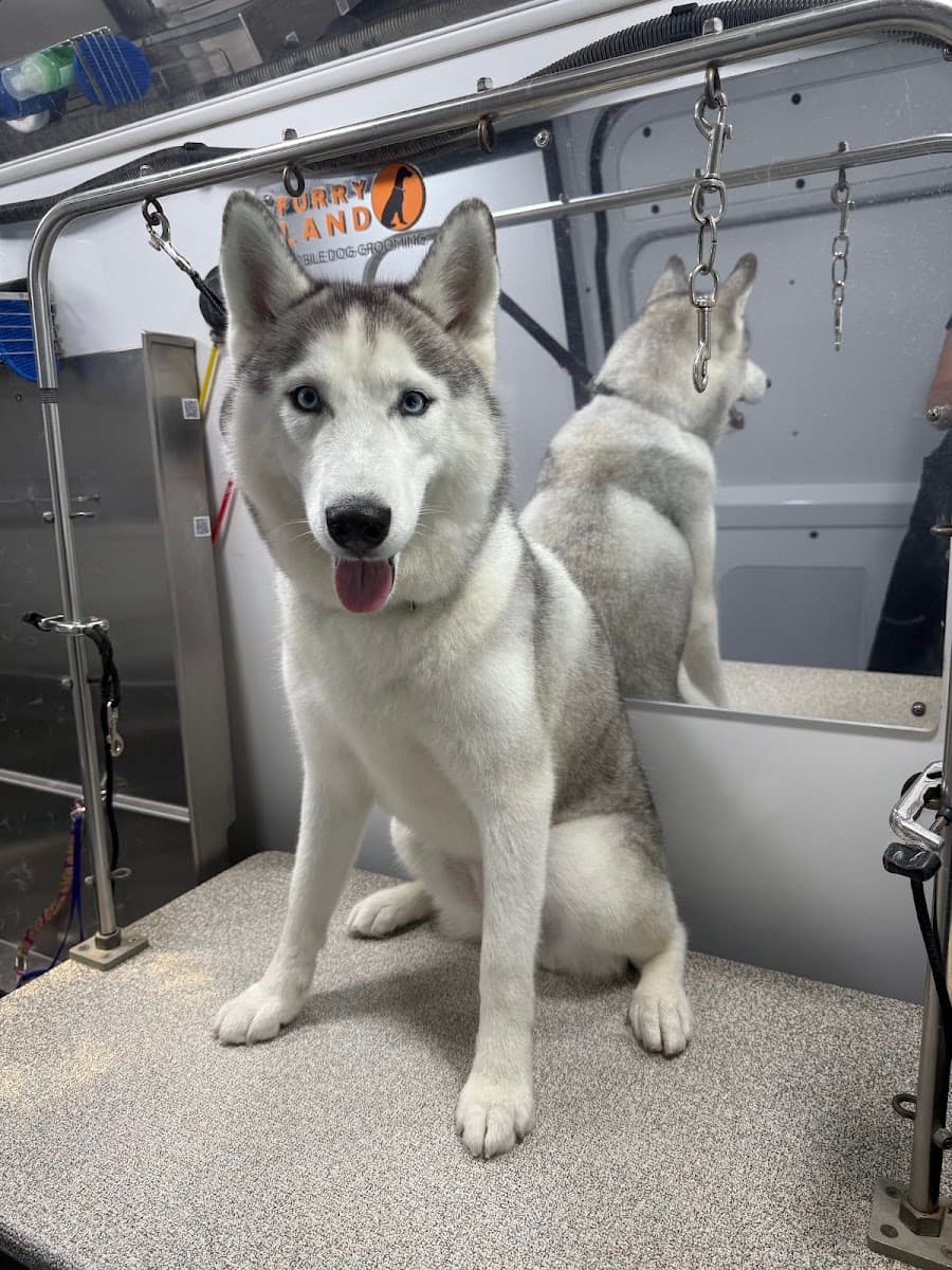 Furry Land Mobile Pet Grooming Wilmington - Mobile dog grooming in Leland, NC