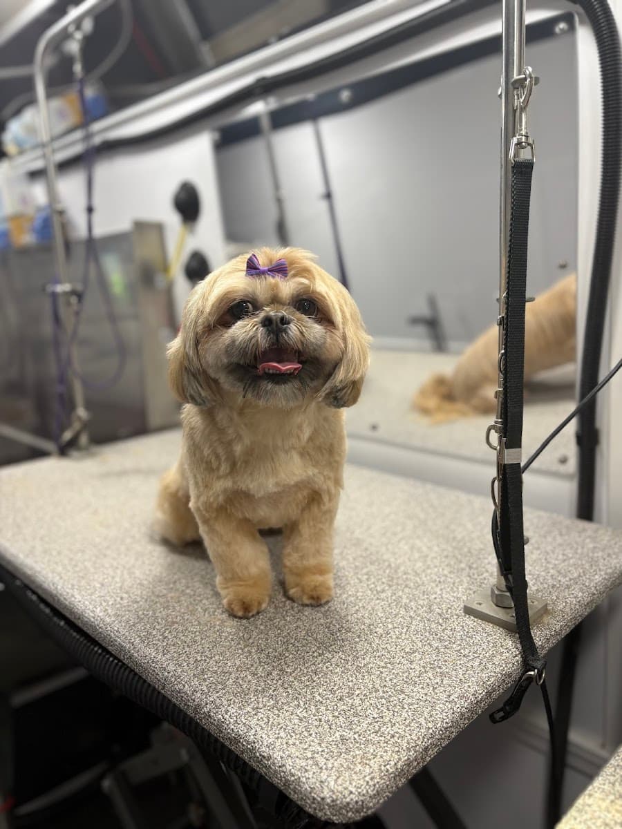 GROOMBAR Luxury Mobile Pet Spa - Mobile dog grooming in Indian Trail, NC