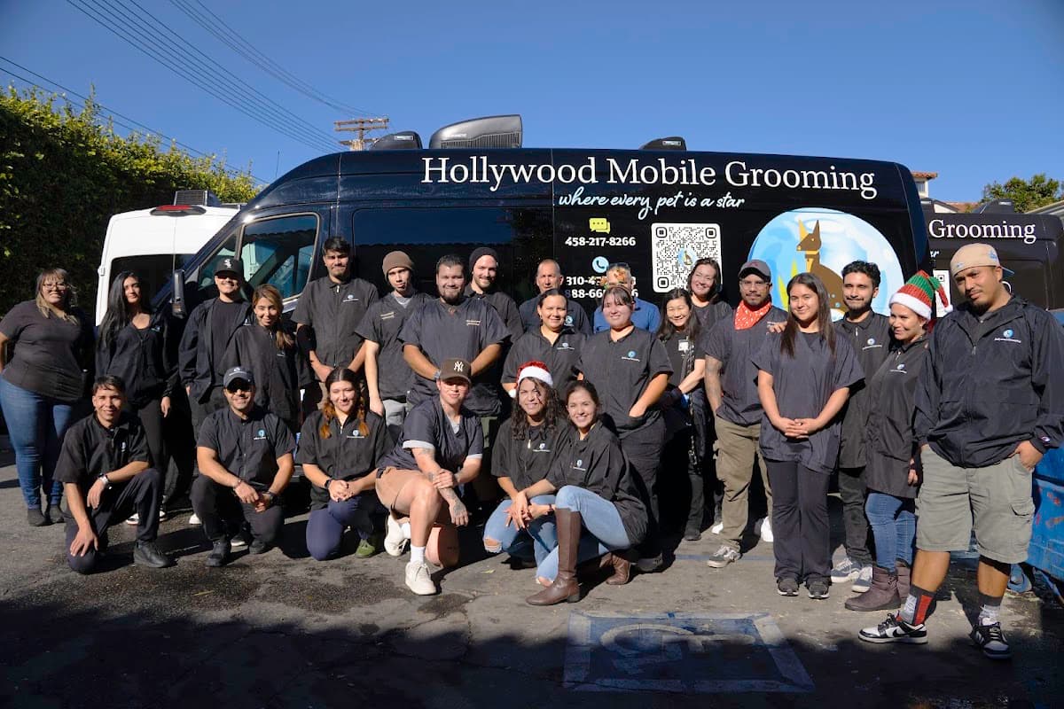 Hollywood Mobile Grooming- San Luis Obispo - Mobile dog grooming in Millers Ranch, CA