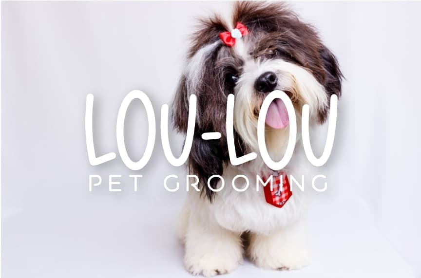 Lou-Lou Pets Grooming Mobile In-home Services - Mobile dog grooming in New York, NY