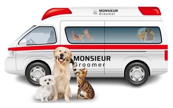 Monsieur Groomer - Mobile Pet Grooming Orange County - Mobile dog grooming in Irvine, CA
