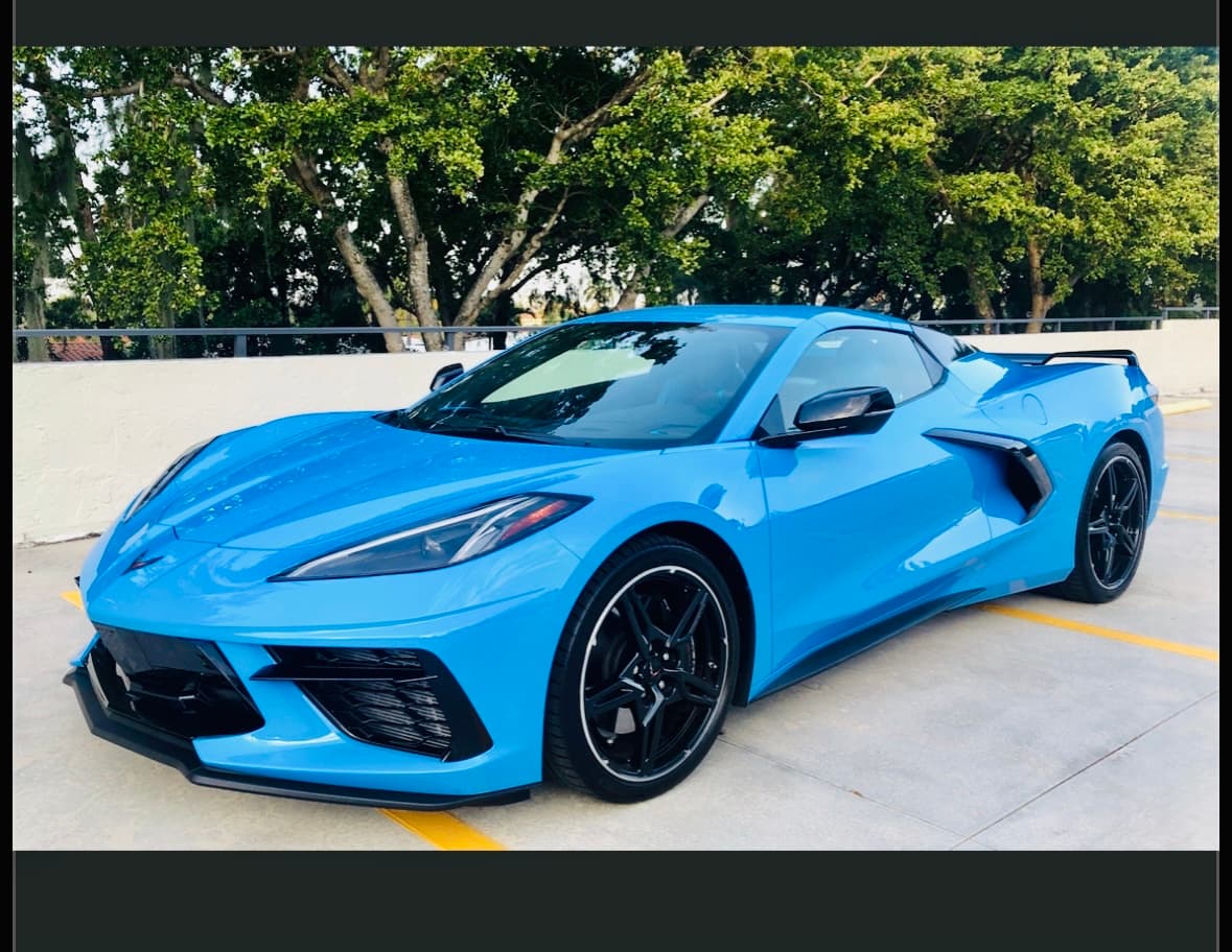 On The Spot Mobile Detailing - Louisville - Mobile dog grooming in Louisville, KY