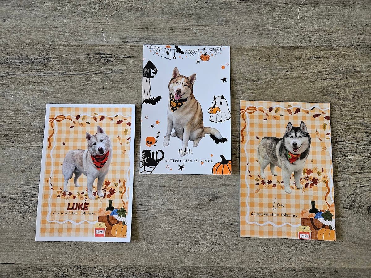 Pet Evolution - Folsom, CA - Grooming | Self-Wash | Healthy Food | Mobile Nail Trim - Mobile dog grooming in Folsom, CA