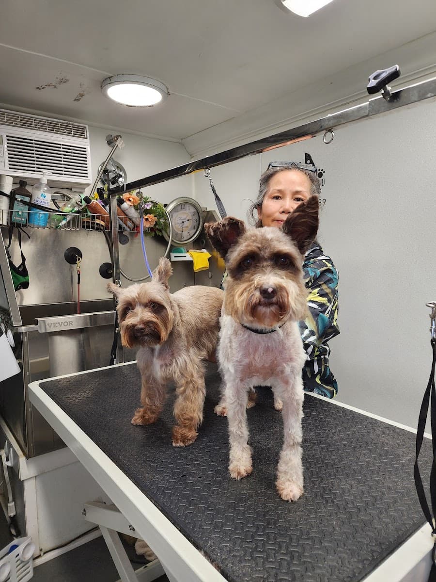 PetGrooming2u - Mobile Pet Groomer Ft. Worth, Tx - Mobile dog grooming in Fort Worth, TEXAS