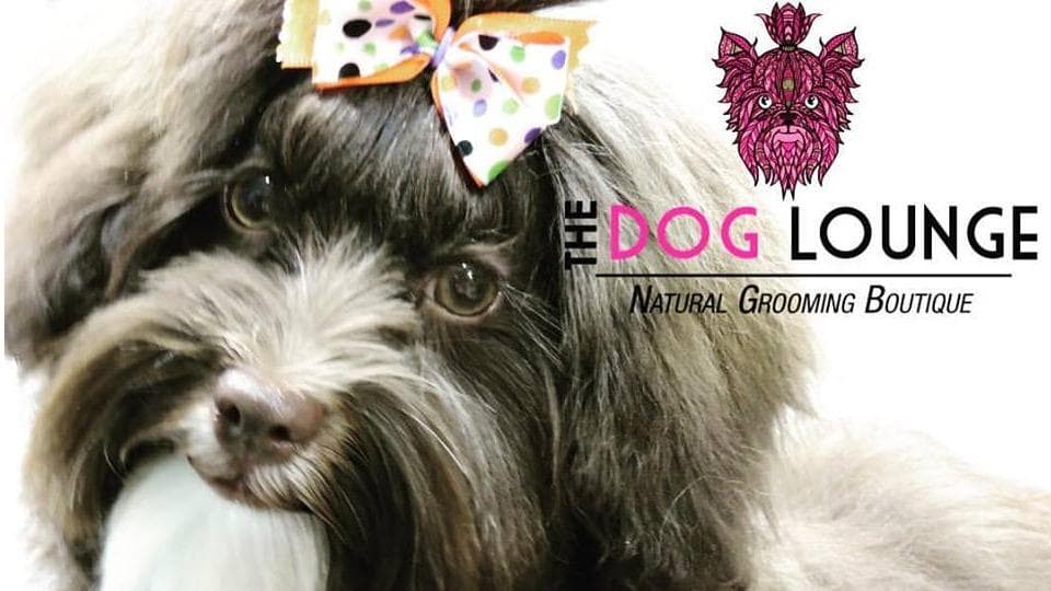 The Dog Lounge Natural Mobile Grooming Spaw - Mobile dog grooming in Fort Lauderdale, FL