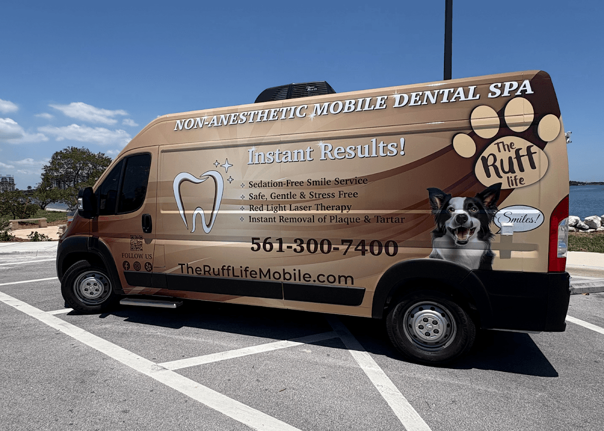 The Ruff Life Smiles | Mobile Pet Dental Cleaning - Mobile dog grooming in West Palm Beach, FL