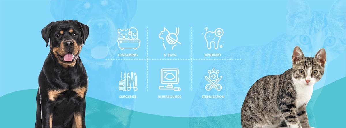 Winters Chapel Animal Hospital - Animal Clinic, Vets in Dunwoody GA - Mobile dog grooming in Atlanta, GA